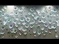 NOISY