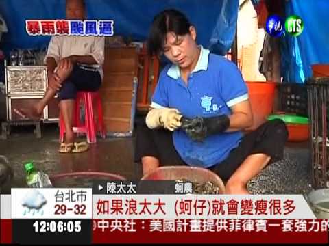 暴雨毀蚵架 蚵農損失破8千萬