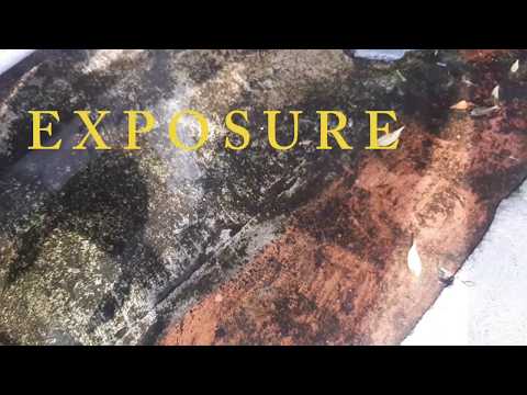 EXPOSURE (2024) Dir. Fabrice Ghazi Chyrillo W.A.P