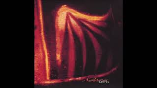 Ashes – Corpus