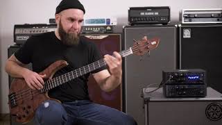 Video thumbnail for Darkglass Microtubes 500 v2 by Gregor Fris