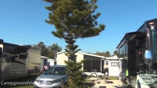 Big Tree RV Resort Video