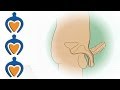 Men Health Animation