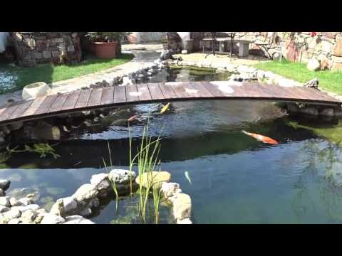 Moderne Teichfilter - ein Endlosbandfilter mit Problemen