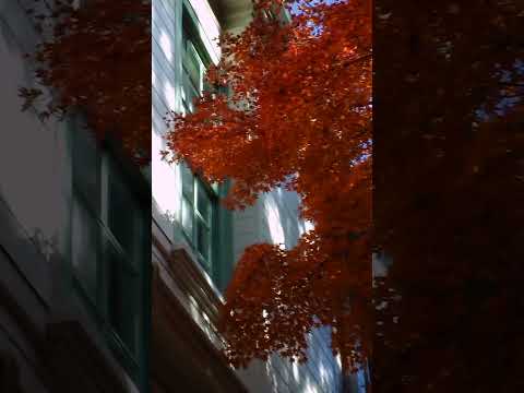 人文社会学科 HDC-SD9 panasonic 豊橋校舎 20241215