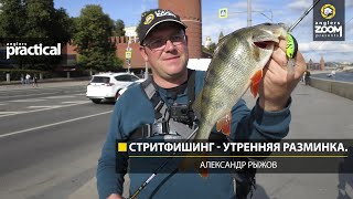 Спиннинги pontoon 21 psychogun pgs852mmsf