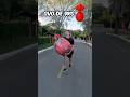 OVO DE PÁSCOA DO ENALDINHO Shorts