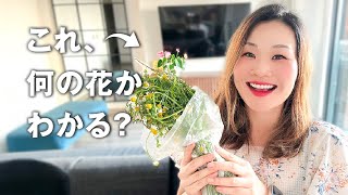 放射線治療とカモミール湿布