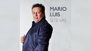 La Vecina Lyrics English Translation