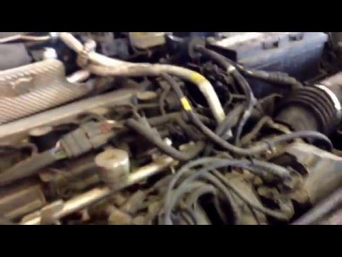 Catalytic converter costs $699; Engine light on Ford Focus 2004; Supreme Auto