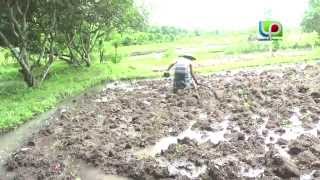 Download lagu OMJ ( Ooo Menu Jarin ) EPISODE 3 - Lombok Post TV  Video mp3