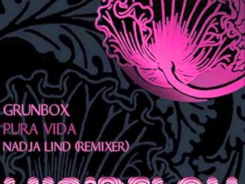 Grünbox - Cosmic Cachondo (feat. Nash Zorin)