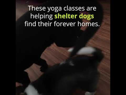 Play Video Youtube Video