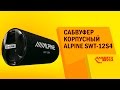 Відеоогляд Alpine SWT-12S4