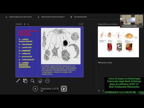 03 - APPARATO LOCOMOTORE  - GENERALITA' OSSA