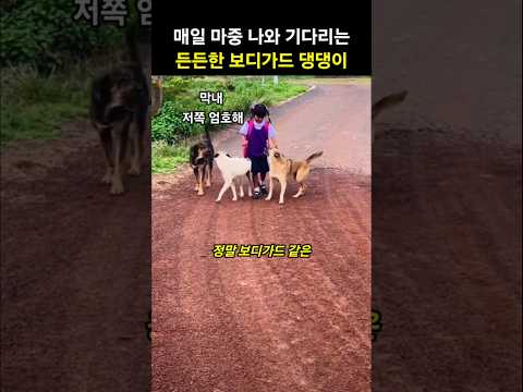 매일 마중 나와 기다리는 보디가드 같은 든든한 댕댕이