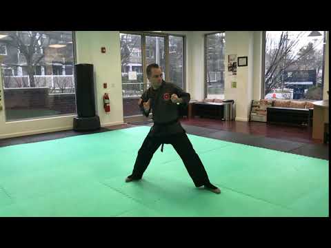 1 Combination - Shaolin Kempo | Martial Arts Techniques