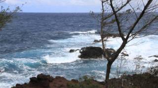 Ten Shekel Shirt - Ocean