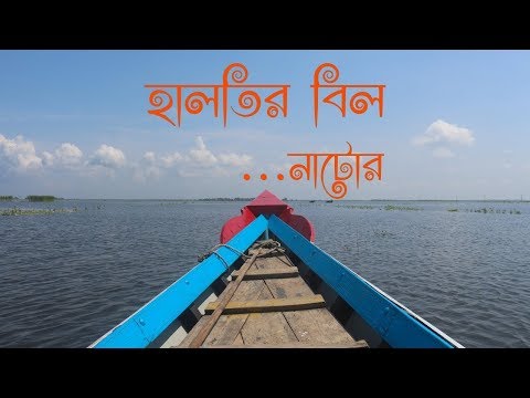 নাটোরের হালতি বিলের পাটুল ঘাট যেন আরেকটি কক্সবাজার | ETV News