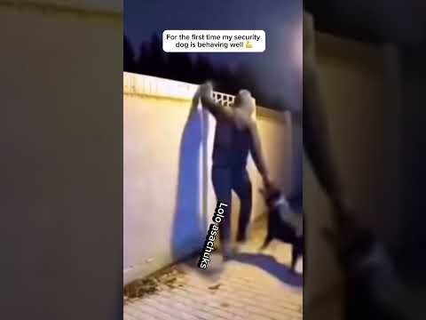 R0bbery gone wrong #funny #comedy #short