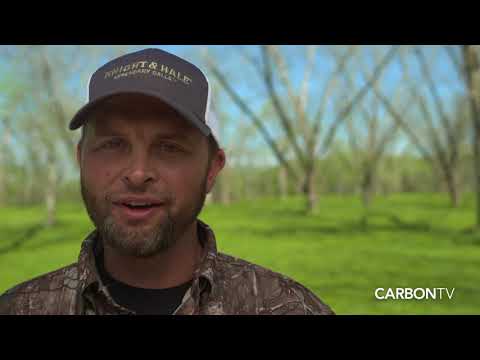 Michael Waddell in Neutral Ground I Official Watch Now Trailer