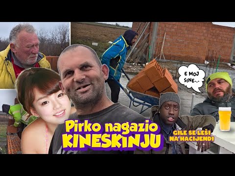GOSPODAR PIROTA NAGAZIO AZIJU TANKA PRICA !A GILE ZABO NOVU SLJAKU I LESI SE NA HACIJENDI EP_101