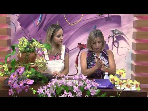 Mulher.com 30/10/2014 - Catasetum Fimbriantum Biscuit por Alessandra Assim - Parte 1