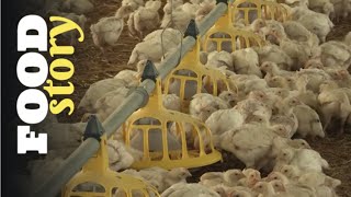 Thumbnail del capítulo