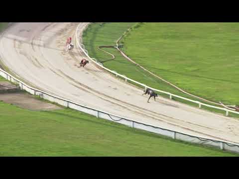 2021 1ST CONTAINERS MARATHON - 1ST SEMI - T5 SAVANA VOLCANO