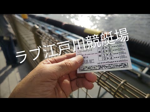 どのモダンなデザインのプールに惹かれますか?食欲をそそる3つのインスピレーション!  庭園