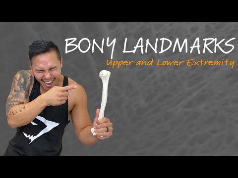 Bony Landmarks of the Body Palpation