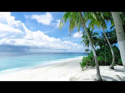 Beautiful Nature video | Zeeshan jutt vlogs |