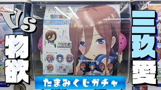 [閒聊] 只有三玖的轉蛋