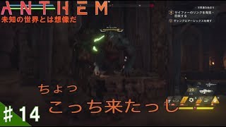 ♯14【TPS】ハッセの「Anthem:夜明けの盾の製作」ストーリー任務