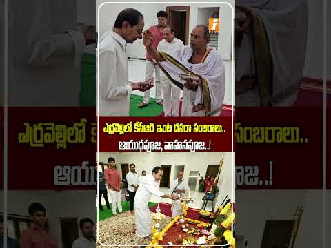 category photo