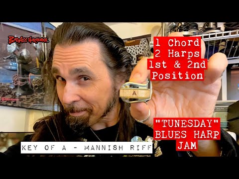 How To Not Suck on 1 Chord with 2 Harps, 1st & 2nd Position - Blues Harmonica Jam -  Tunesday 67
