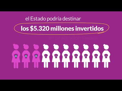 Consecuencias socioeconómicas del embarazo en la adolescencia en Argentina.