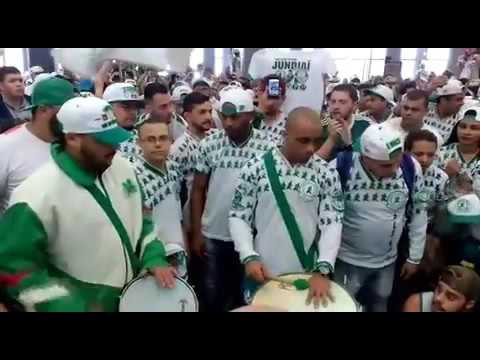 Mancha Verde a mais temida!