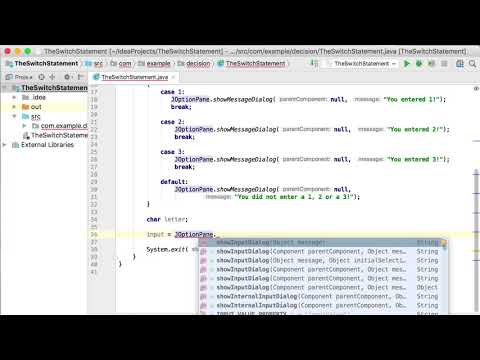11 The Switch Statement Java