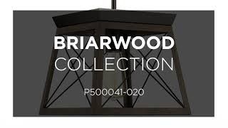 video: Briarwood_P500041-020