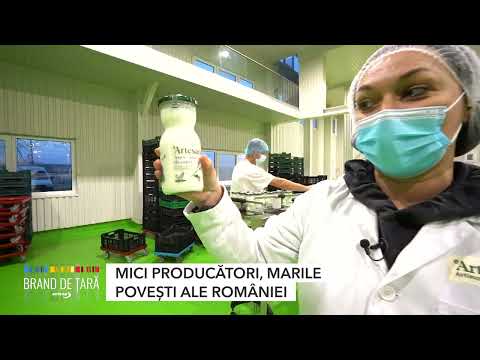 BRAND DE TARA ARTESANA