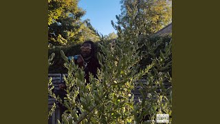 top draw Music Video