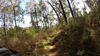 preview picture of video 'Mt Beauty VES 2013.   (4) Top Of Horse Sh1t Hill Then Fast Down'