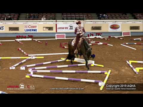 2019 AQHA Amateur Trail