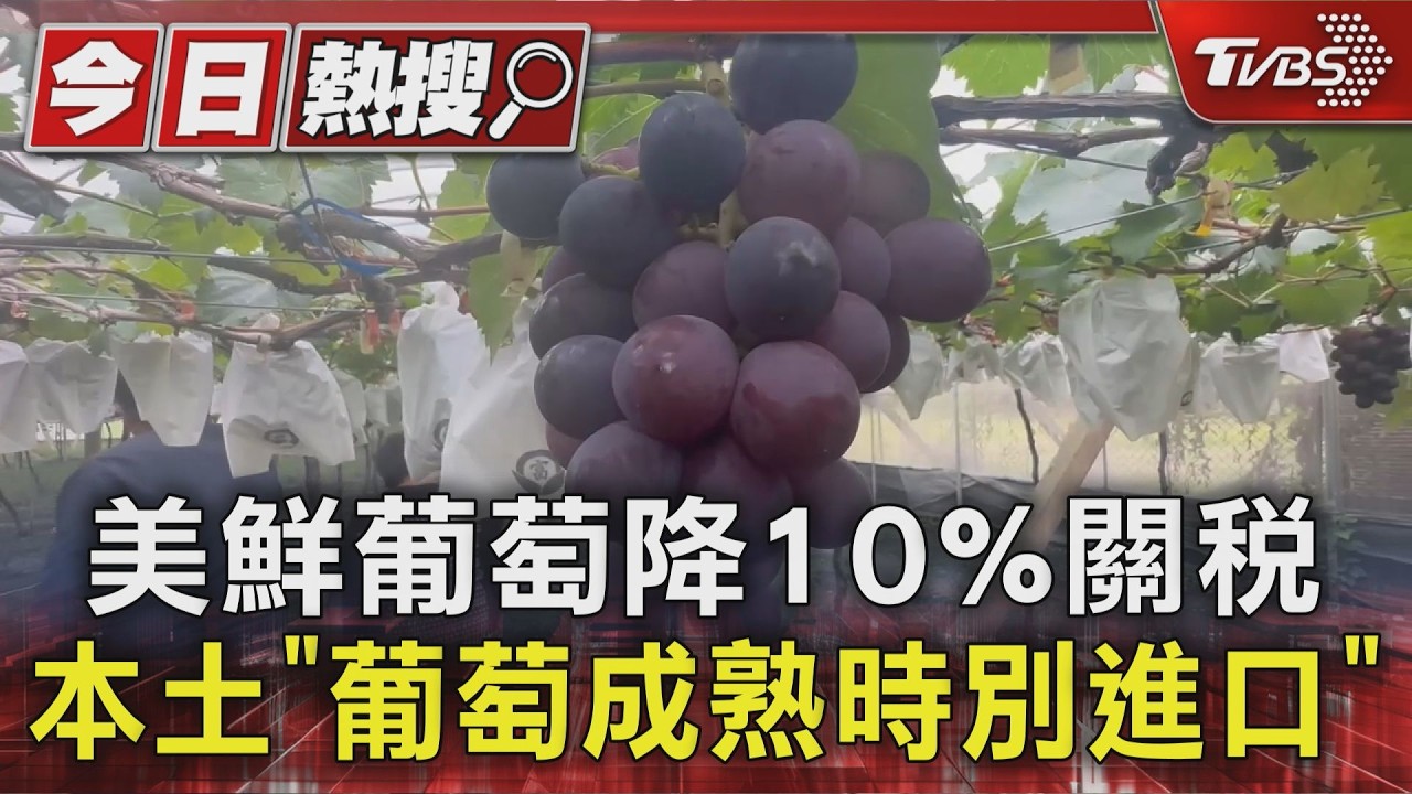 美國葡萄進口關稅砍半!彰化果農急喊話:避開產季再進口