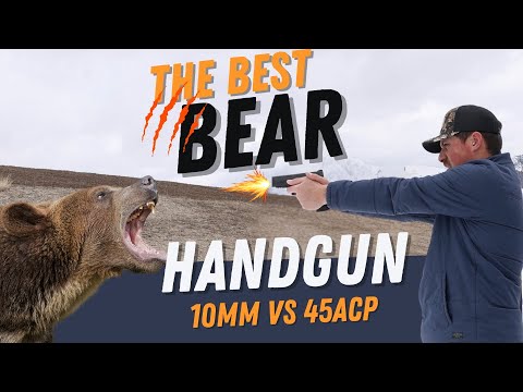 The Ultimate Bear Defense: 10mm vs 45 ACP(Tested)