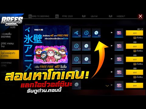 ฟีฟายแอดวานซ์