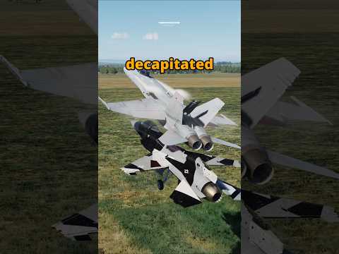 Melee Kill #dcs #simulation