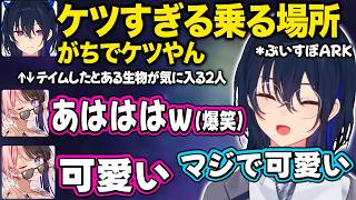 【ぶいすぽ】しっかり監視をしている優秀なひなーの秘書とおふざけが好きなのせ社長【一ノ瀬うるは/橘ひなの/ぶいすぽARK/切り抜き】