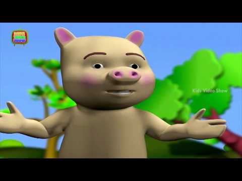 Amazing Facts For Children | Tell Me Why Kids Compilation | KidsVideoShow